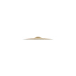 Zildjian A Splash Cymbal 12