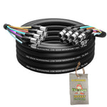 APS2442-20FT-L-Snake-Cable-Render
