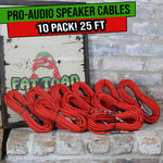 AP3000-25FT-2-PA-Speaker-Cables-10-Pack-Render