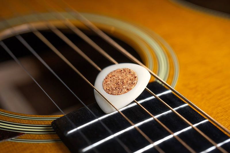 U-BM-PICK-Tagua-f-Section5