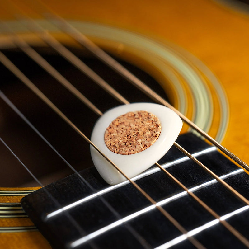 U-BM-PICK-Tagua-f-Section5