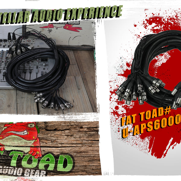 Microfono Fat Toad Live Kit Microfoni Dinamici Cardioidi Fat Toad - 6 Microfoni Clip Cavi XLR 20 Piedi Per Studio Microfoni Studio Fat Toad - Foto 9